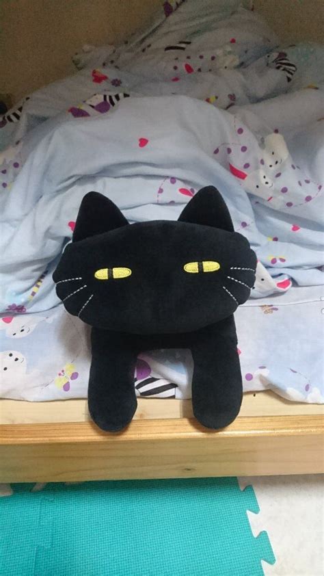 看到黑貓代表什麼 床靠廁所ptt